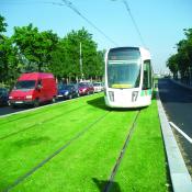 European Tramway with Irrigated Turf 